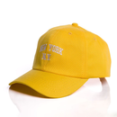 Boné Ny New York Retro Basebol Aba Curva Masculino e Feminino Regulagem Fitão